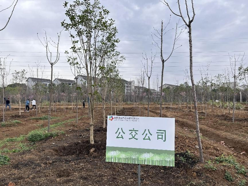 植树节2.png